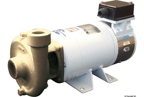 Elettropompa centrifuga in bronzo 24V 80 l/min 