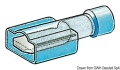 Faston femmina isolati 1-2,5 mm² 