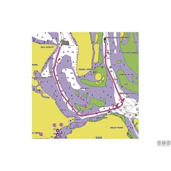 Garmin bluechart g3 vision veu013r 