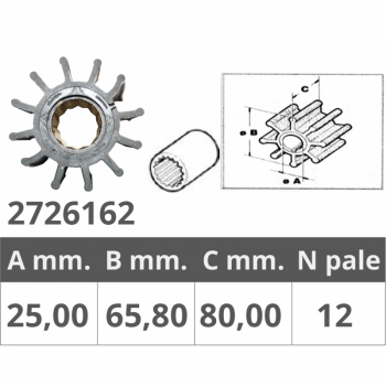 GIRANTE JOHNSON 09-821B