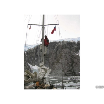 Gradino pieghevole mast-step bianco 
