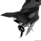 Hydrofoil StingRay Classic 2 Senior SR2-1 