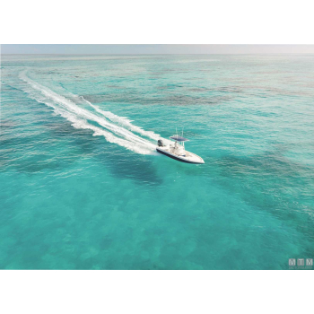 Indicatore assetto trim bennett elettrico obi9000e