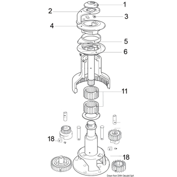 Kit manutenzione nottolini standard e molle 