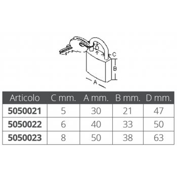 LUCCHETTO  ARCO LUNGO MM.30