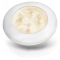 Luce di Cortesia in Plastica Bianco Calda 24 V
