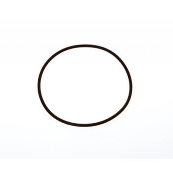 O-ring Ø mm.101,2x3,53