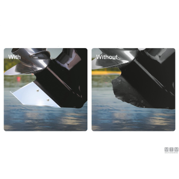 Pinna protezione panther 610 in acciaio inox