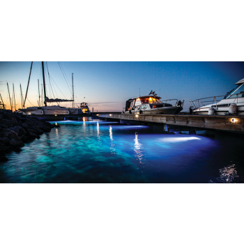 PIRANHA P4 LED dual color bianco e blu polymer   