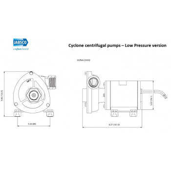 Pompa cyclone lp 24v npt