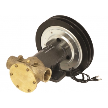 Pompe a Frizione Elettromagnetica