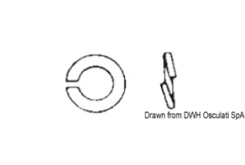 Rondella Grower 12 AISI 316 316.127/12