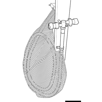 Sacca Whale per tubo doccia 