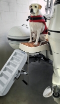 Scaletta per Cani 