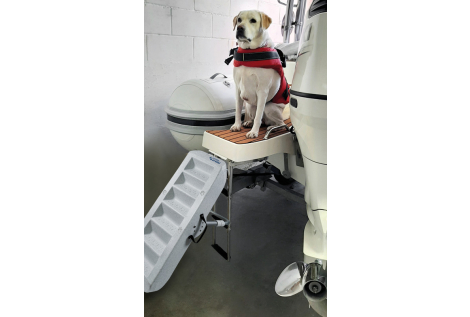 Scaletta per cani  Scaletta per cani 