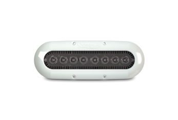 Serie x8 led luce blu notte