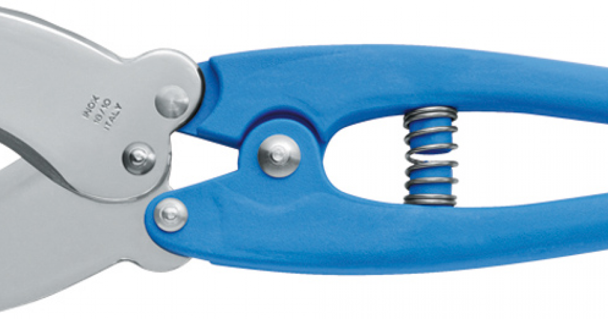 Forbice Tagliaricci Inox Mac Coltellerie