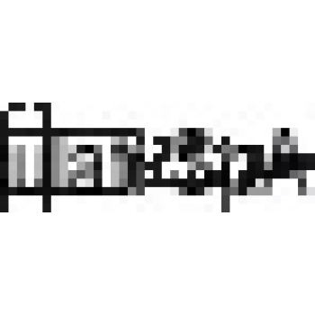 Tirafondi8X100 AISI 304 TIRA8X100