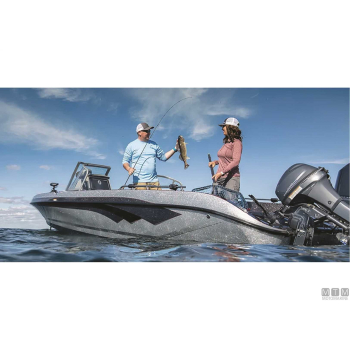 Trasduttore garmin panoptix livescope lvs34+gls10