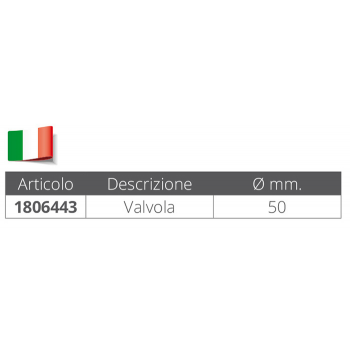 VALVOLA DI NON RITORNO